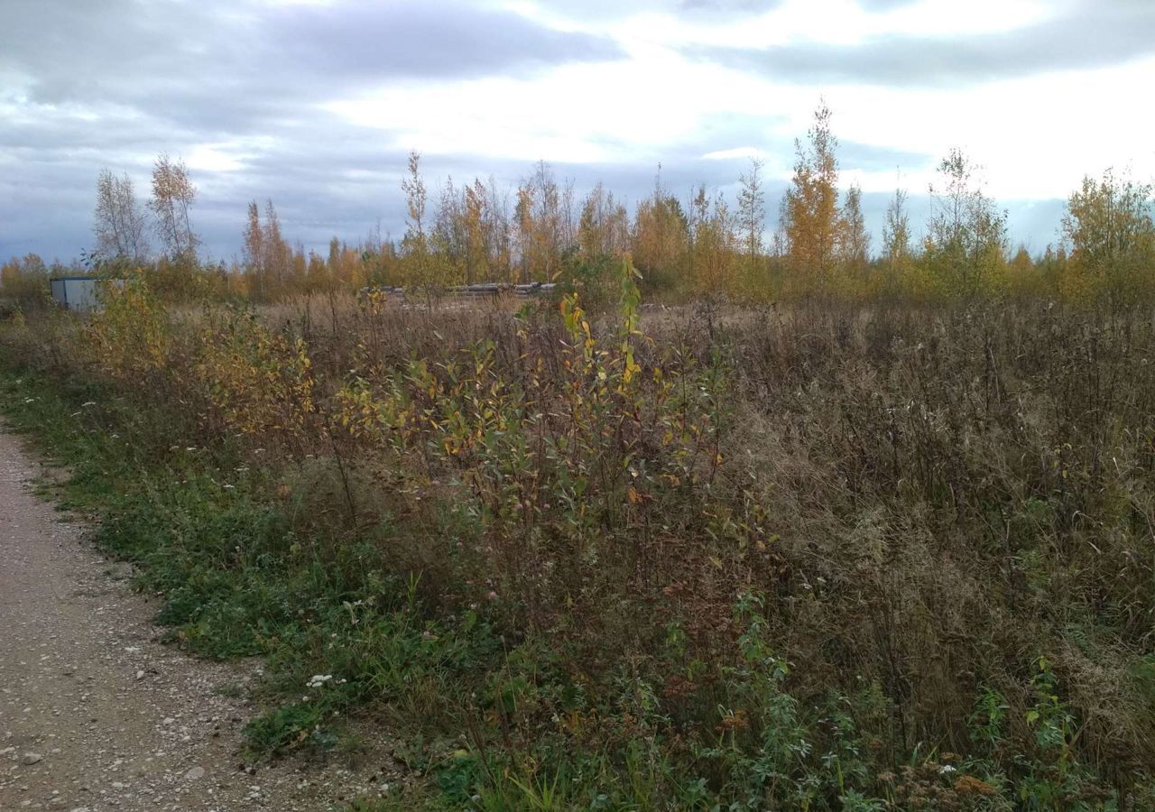 земля р-н Новгородский д Зарелье ул Радужная Великий Новгород фото 5