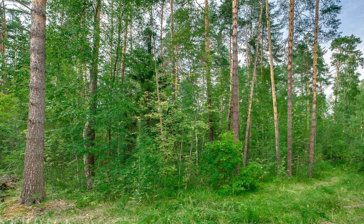 земля городской округ Одинцовский г Звенигород мкр Поречье 6 фото 3