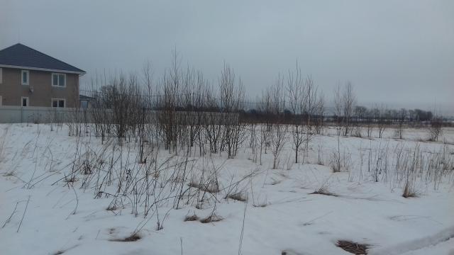 Купить Дом С Липицы Серпуховского Р На