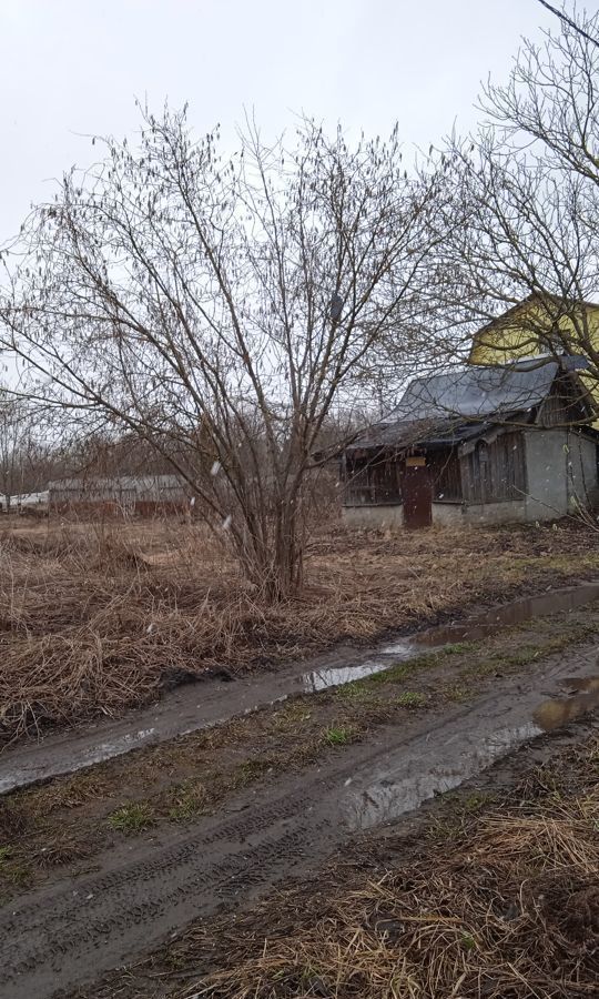 земля р-н Брянский с Толмачево проезд 1-й Крыловский 14 Снежское сельское поселение, Брянск фото 8