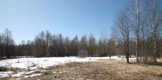 земля ул Цветочная Переславль-Залесский городской округ фото