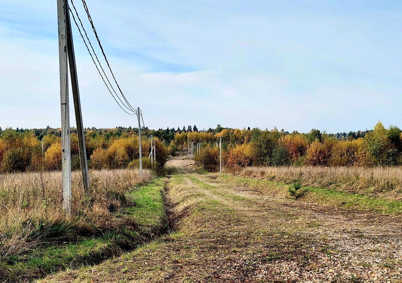 земля городской округ Мытищи д Еремино ул Нижняя Лобня фото 5