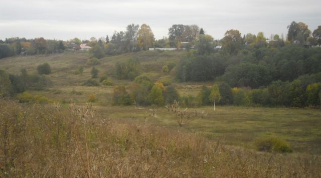 земля д Рассошня Вязьевская волость фото