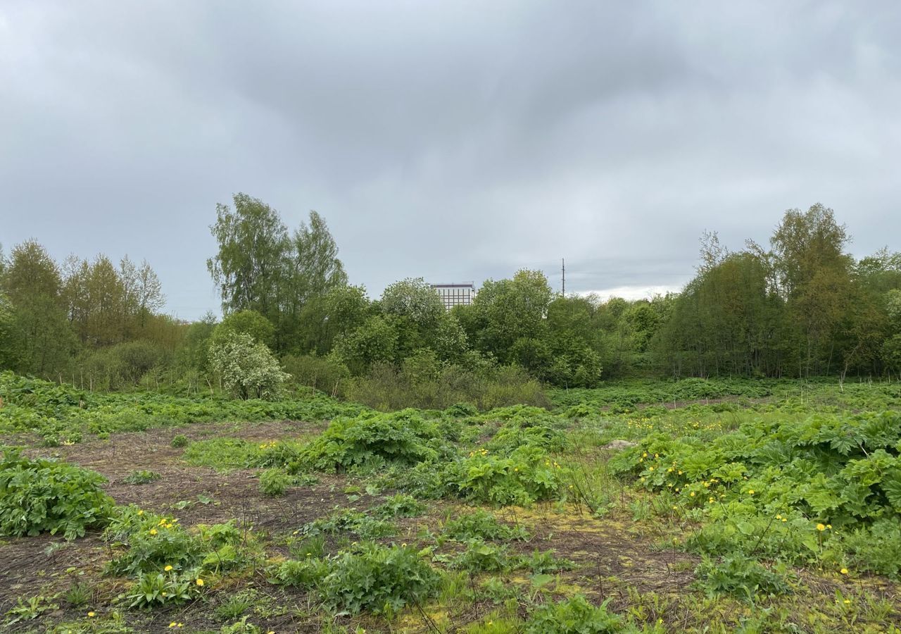 земля городской округ Истра д Рыбушки г. о. Истра, Новопетровское фото 2