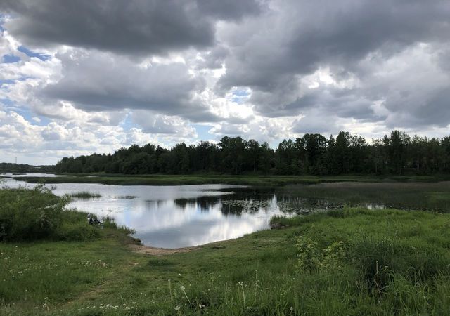 Кингисеппское городское поселение, садоводческий массив Юннатская фото