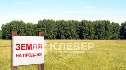 земля р-н Чернушинский с Брод ул Заречная фото 1