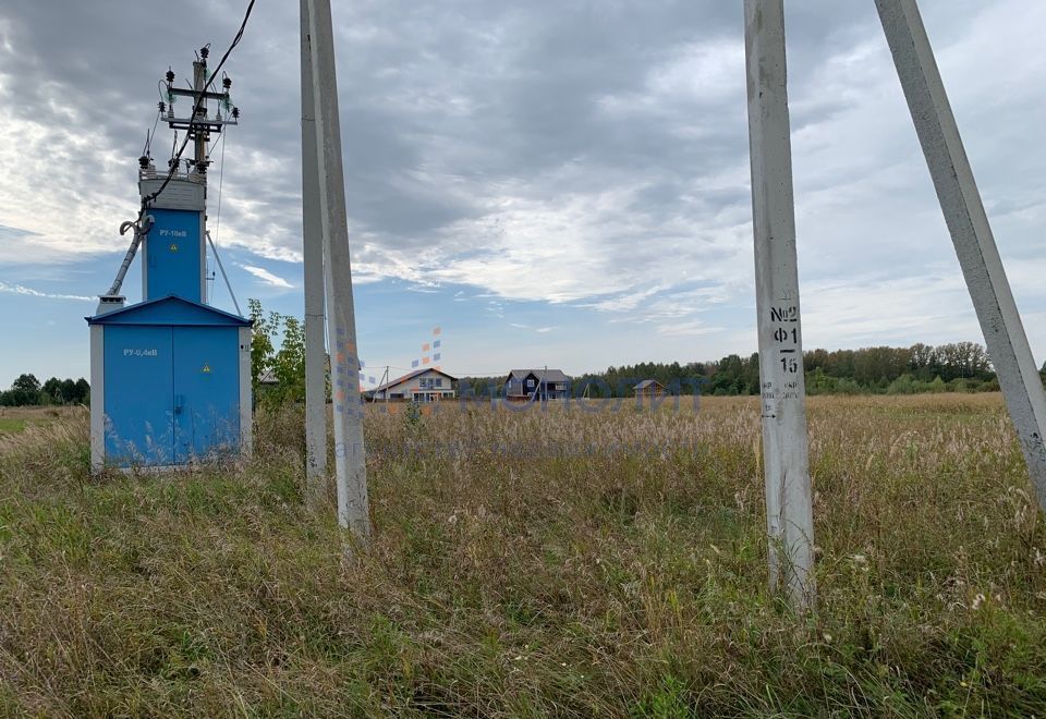 земля р-н Богородский д Пруды ул Героев 88 Буревестник фото 12