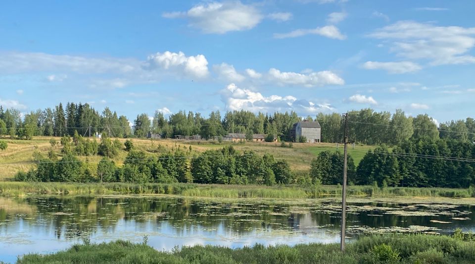 земля р-н Красногородский Красногородская волость фото 1