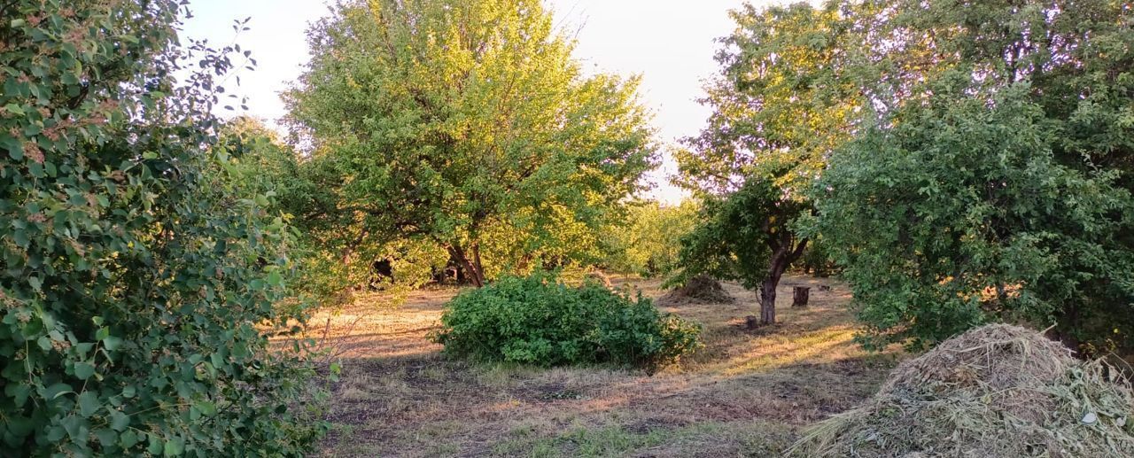 дом р-н Сурский с Сара ул Советская 55 Сарское сельское поселение, Сурское фото 4