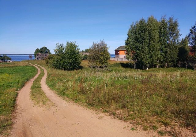 земля д Спичино Каськовская волость, Кунья фото