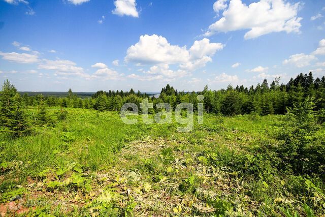 земля р-н Пермский д Кулики ул Генерала Гребнева фото 4