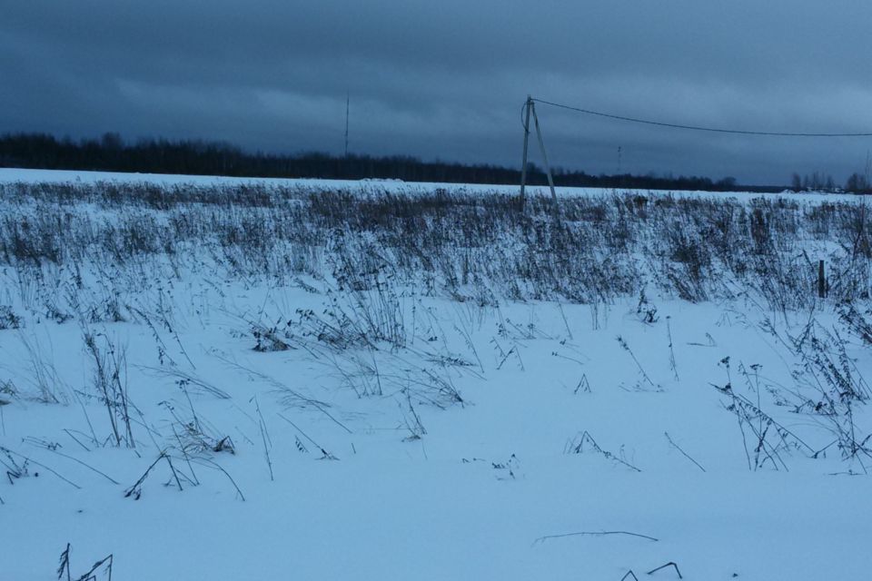 земля р-н Новгородский фото 2