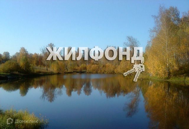 земля г Новосибирск фото 3