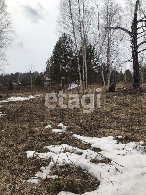 земля р-н Емельяновский фото 4