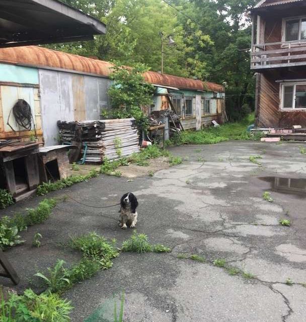 Владивосток п трудовое. Поселок Трудовое Приморский край. Поселок Трудовое Владивосток. Улица довыдово посёлок Трудовое. Купить дом Трудовое Приморский край.