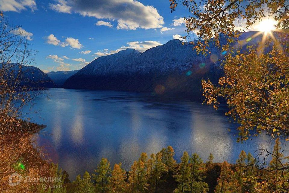 земля р-н Турочакский с Артыбаш ул Телецкая фото 7