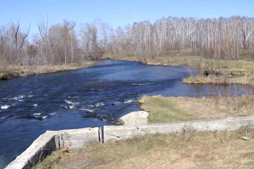 Погода кокши алтайский край. Кокши Алтайский край. Село Кокши Алтайский край. Кокши.