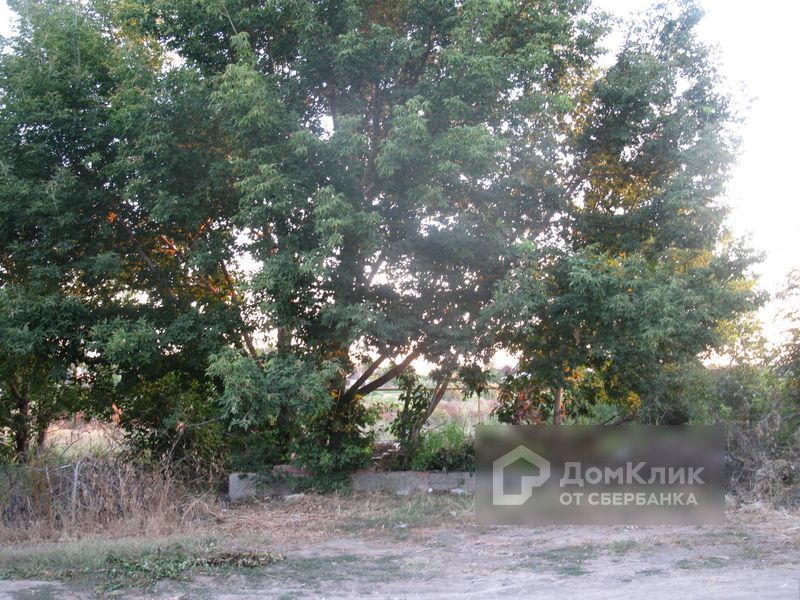 земля р-н Икрянинский с Бахтемир ул Суворова фото 7