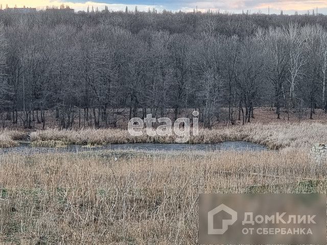 земля р-н Балашовский фото 4