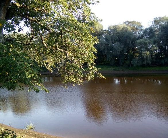 р-н Новгородский с Бронница фото