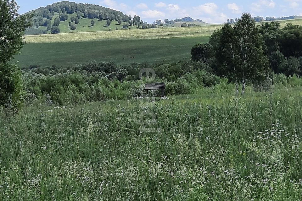 земля р-н Алтайский фото 10