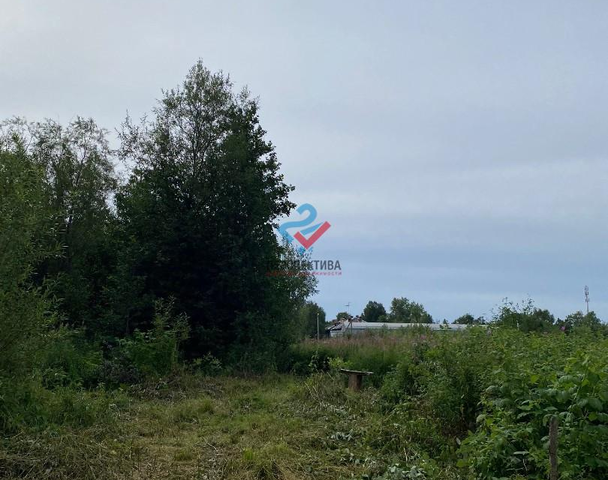 г Архангельск р-н Соломбальский округ Лесозавод № 13 ул Александра Петрова 6/1 фото