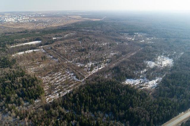 г Великий Новгород Софийская сторона пл Победы-Софийская 1 фото