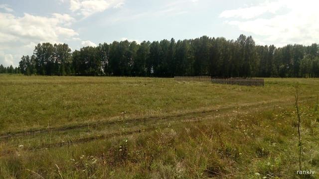 р-н Колыванский с Скала Новосибирск и Новосибирская область фото р-н Колыванский с Скала Новосибирск и Новосибирская область фото