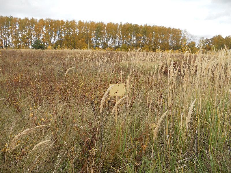 земля городской округ Кашира фото 1