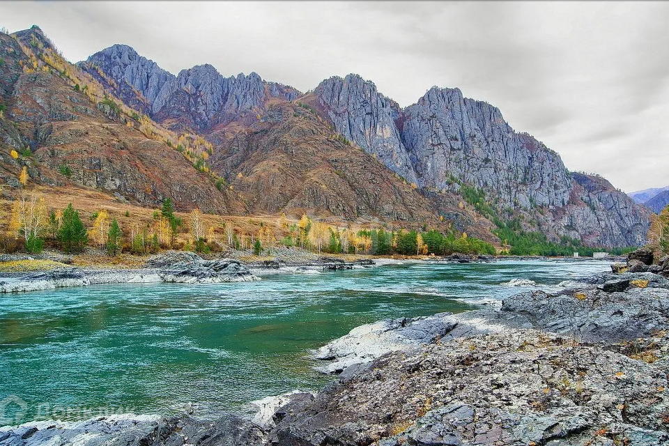 земля р-н Улаганский с Акташ фото 1