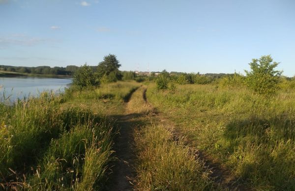 земля р-н Пронский рп Пронск ул Кануновка Пронское городское поселение, Пронск фото 5