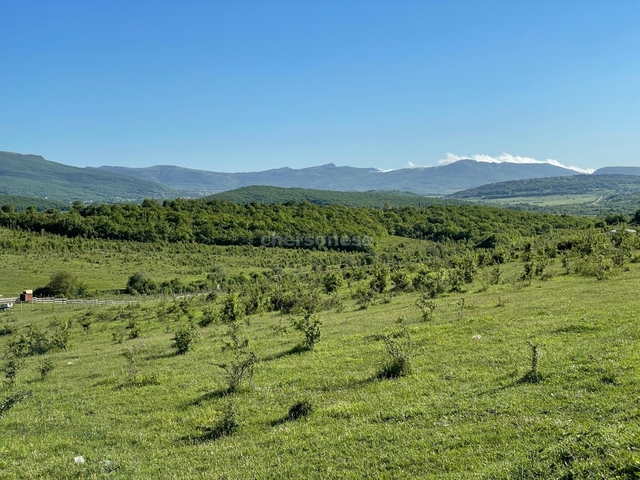 г Севастополь с Передовое ул Новая Орлиновский муниципальный округ фото