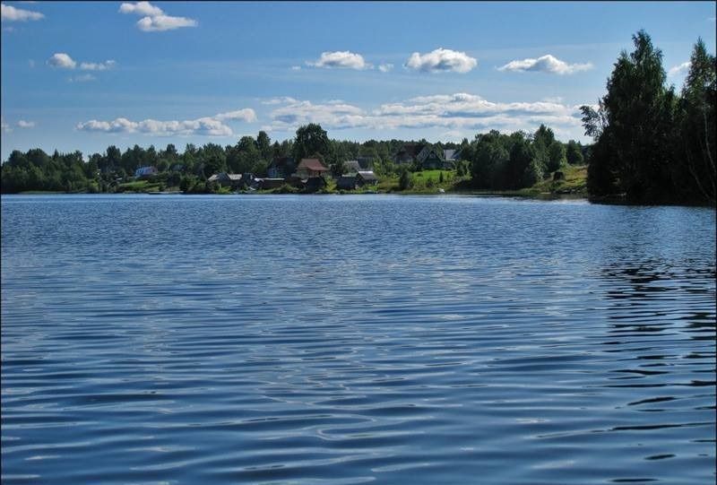 земля р-н Демянский д Пабережье ул Береговая Демянск фото 1