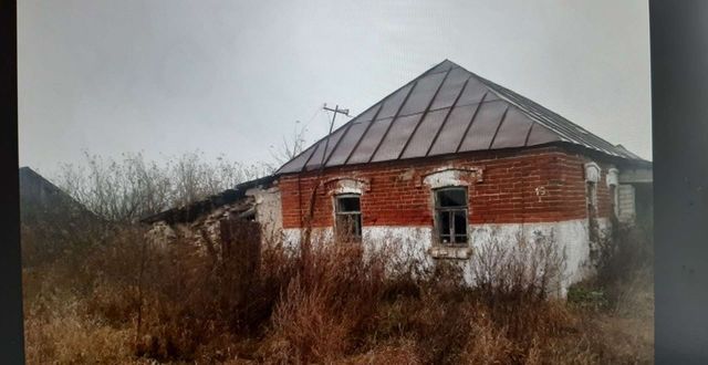 земля Заречинское сельское поселение, Лесной фото