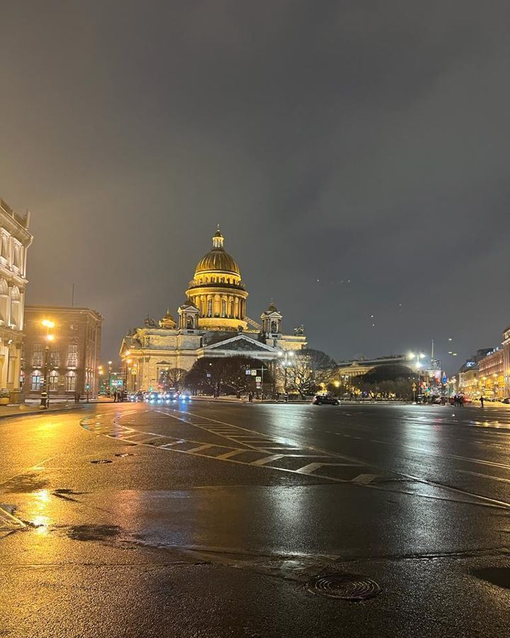 торговое помещение г Санкт-Петербург метро Адмиралтейская наб Реки Мойки 72 фото 4