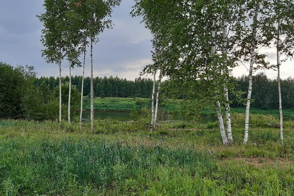 земля р-н Маловишерский фото 3