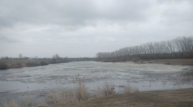 р-н Кузнецкий с Сухановка фото