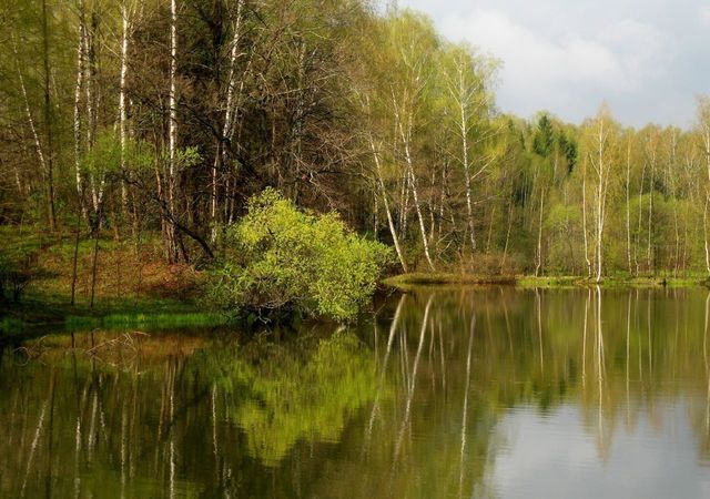 городской округ Чехов д Слепушкино 8, Чехов фото