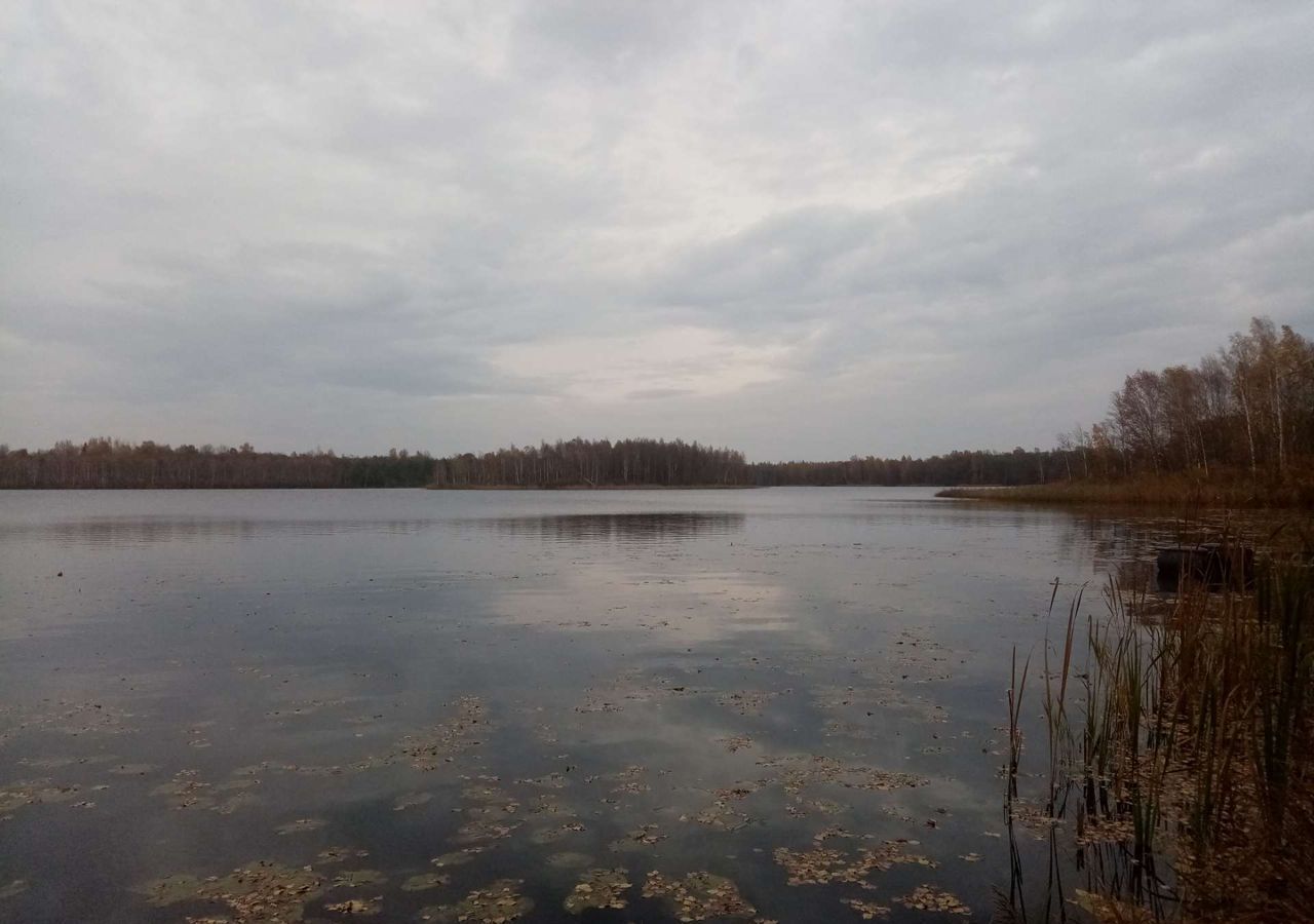 земля р-н Великолукский д Крупышево Лычевская волость, Кунья фото 2