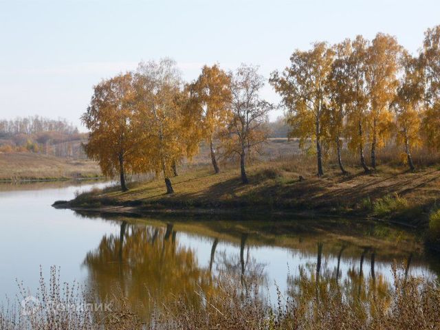 ул Пионерская фото