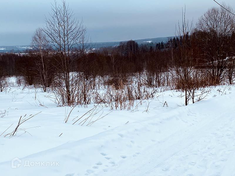 земля городской округ Дмитровский фото 7