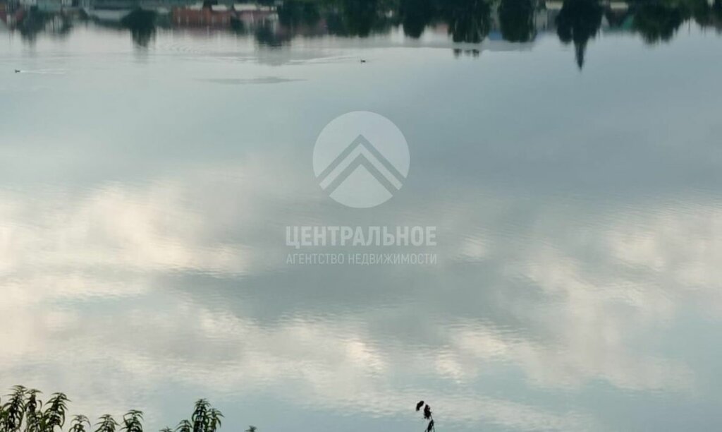 земля р-н Новосибирский с Каменка ул Трудовая Берёзовая Роща фото 3