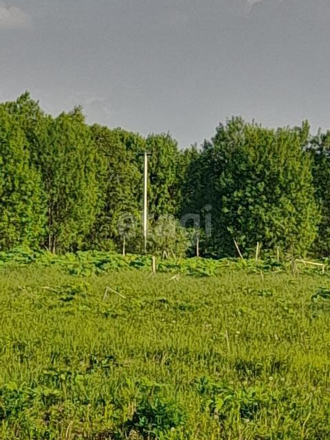 земля р-н Ленинский с Алешня Привокзальный территориальный округ фото 1