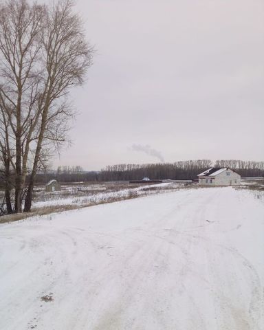 г Саранск п Пушкино Николаевка фото