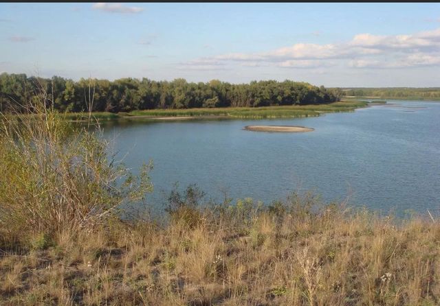 р-н Городищенский х Вертячий ул Затонская Вертячинское сельское поселение, Новый Рогачик фото