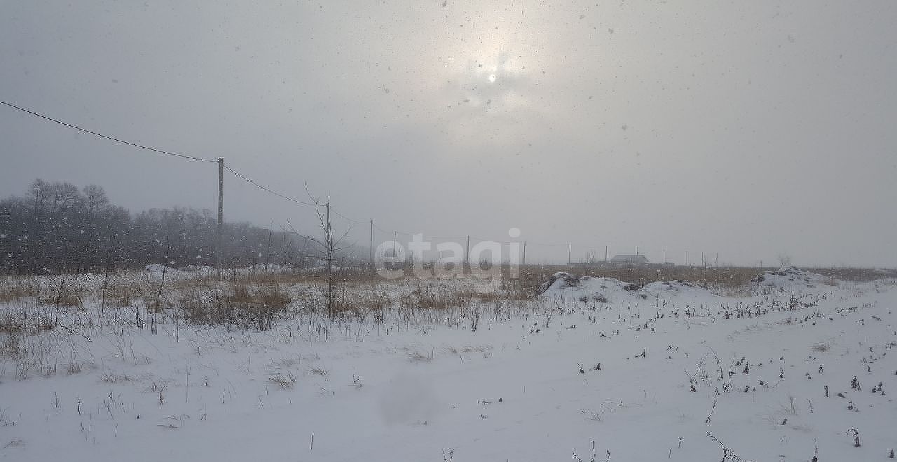 земля г Воронеж ул Восточная 22 Новоусманский р-н, пос. 1-го отделения совхоза Масловский фото 1