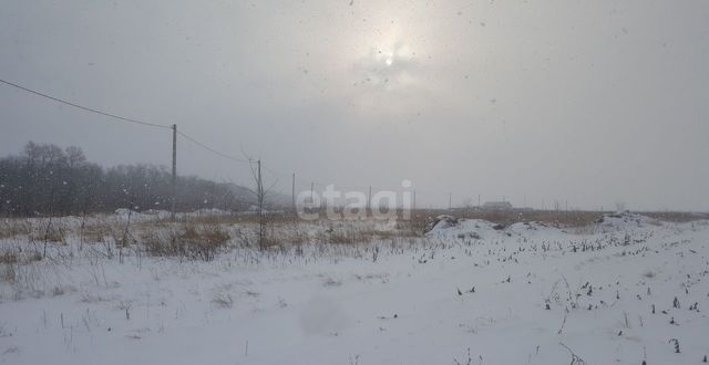 земля г Воронеж ул Восточная 22 Новоусманский р-н, пос. 1-го отделения совхоза Масловский фото