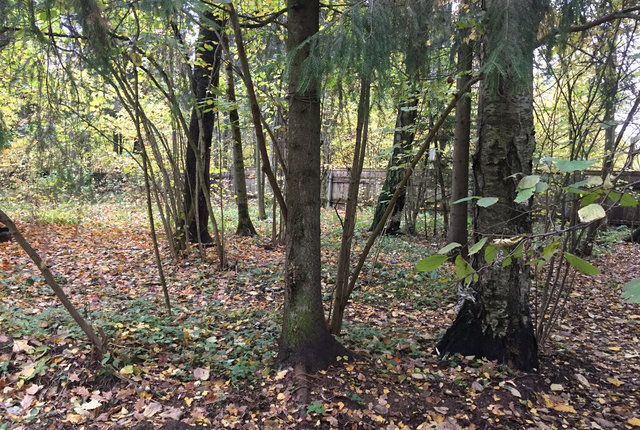 земля городской округ Сергиево-Посадский с Абрамцево ул Суворова 56 фото