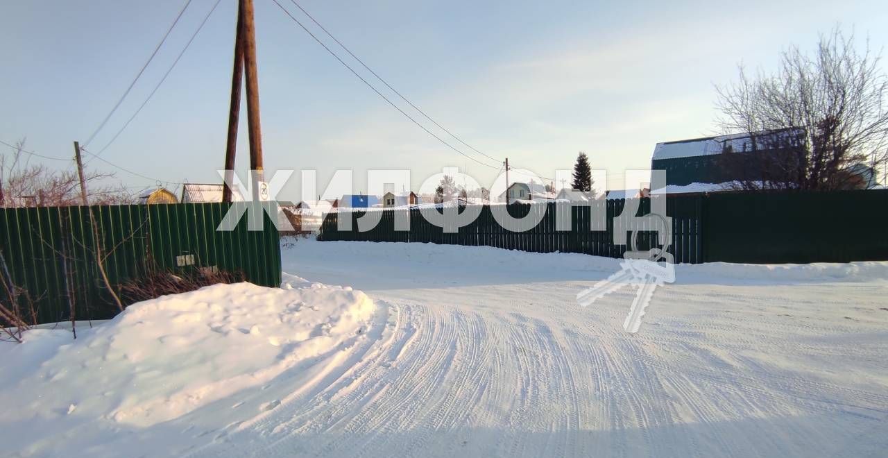 земля р-н Новосибирский снт Звезда Толмачёвский сельсовет, Обь фото 21