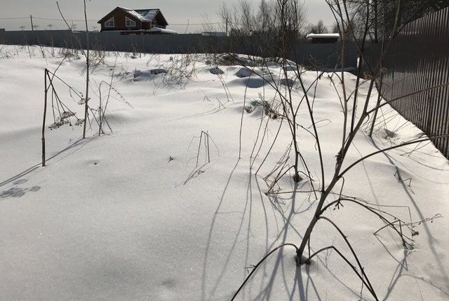 городской округ Домодедово д Степыгино коттеджный посёлок Дивный фото